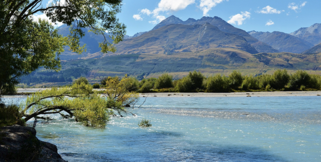 Travel Nursing in New Zealand - Wanderly